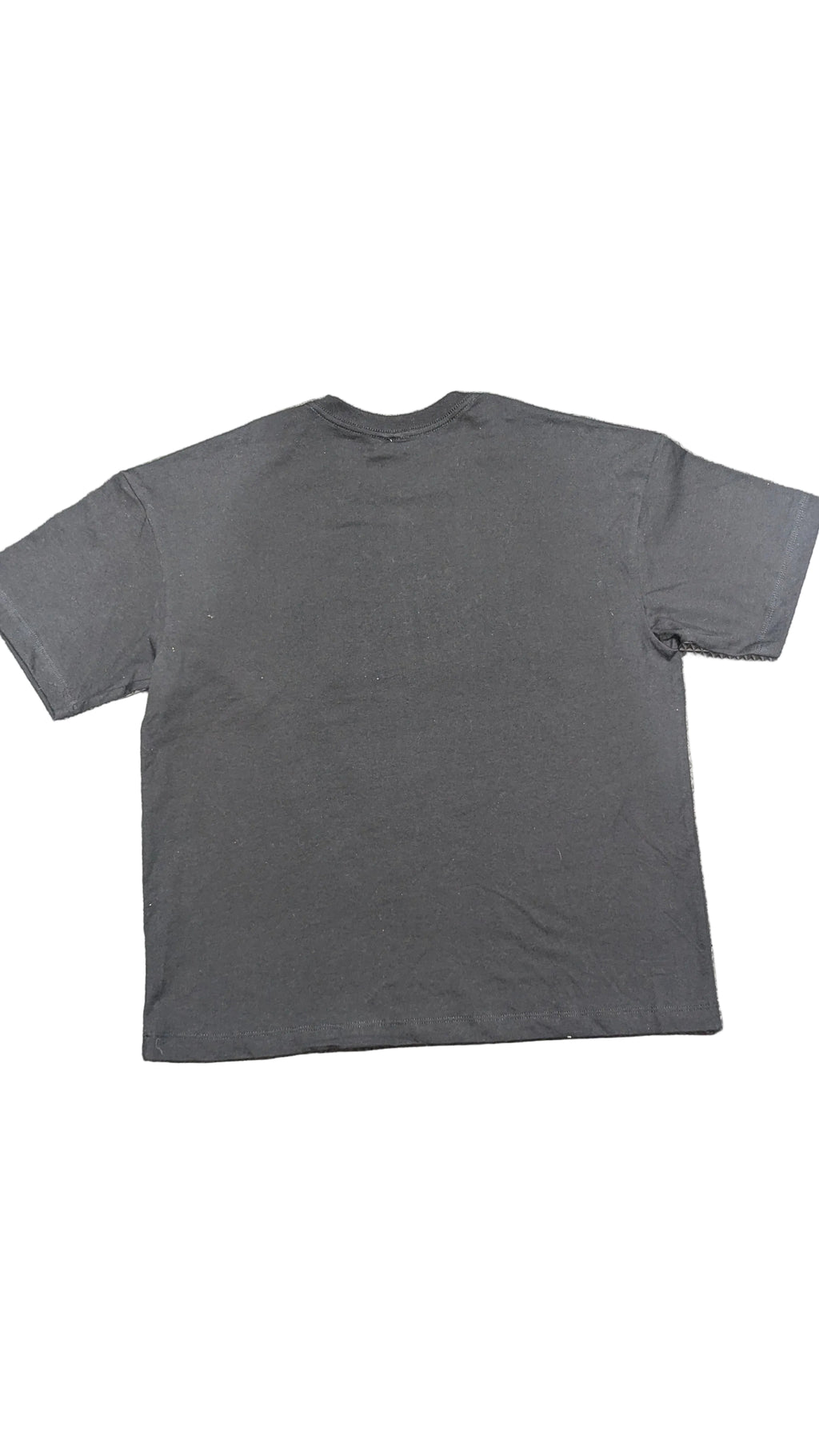 T-shirt: Lord of the Rings 100% Cotton
